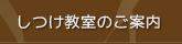 しつけ教室のご案内