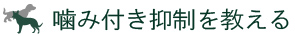 噛み付き抑制を教える