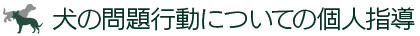 犬の問題行動についての個人指導