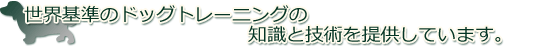 世界基準のドッグトレーニングの知識と技術を提供しています。